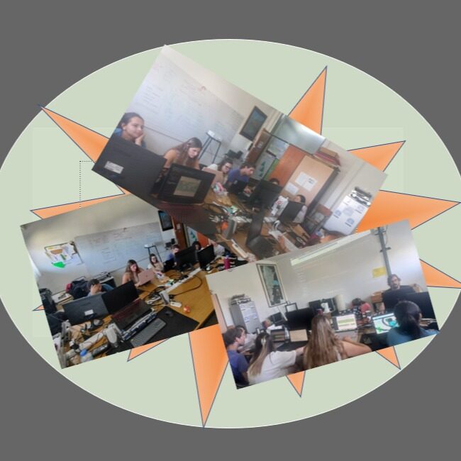 Instagram post from labgeot. This post is in position 4.